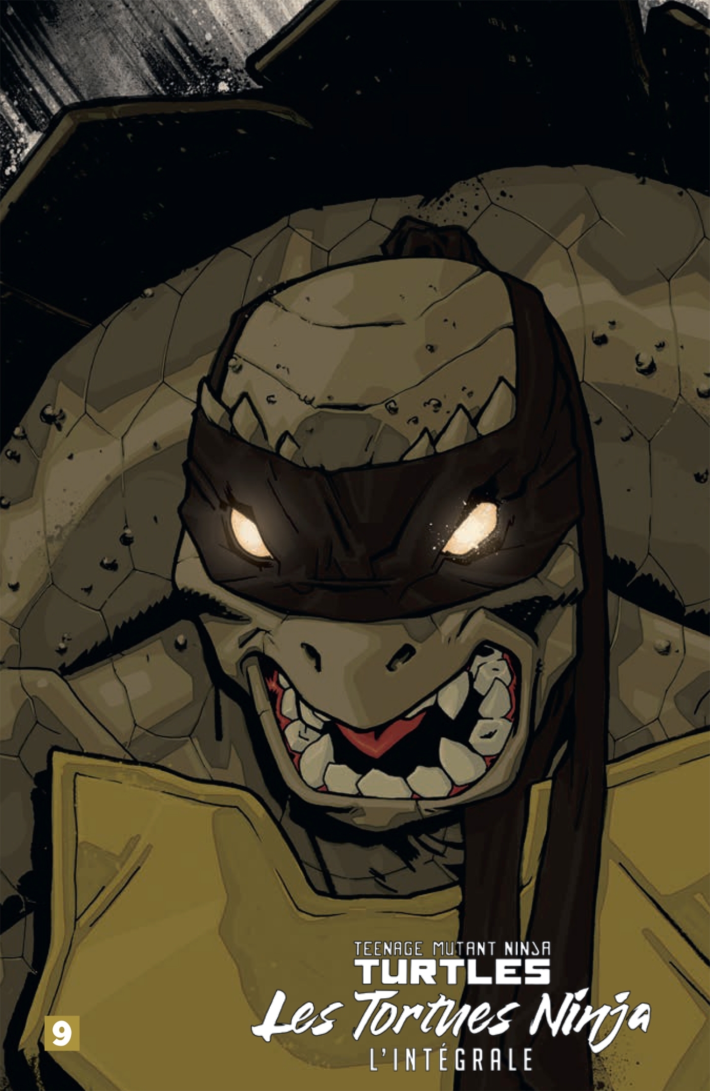 Les Tortues Ninja - TMNT : L'Intégrale T9 - Kevin Eastman, Tom Waltz, Erik Burnham, Rich Douek, Bobby Curnow - HICOMICS