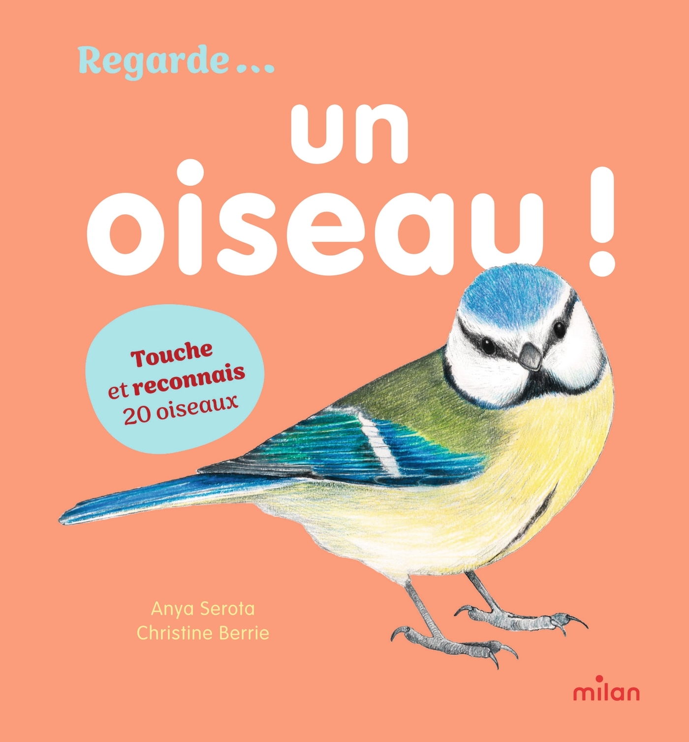 Un oiseau ! - Anya SEROTA - MILAN