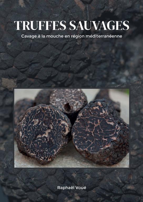 Truffes sauvages : Cavage à la mouche - Raphaël Voué,  Raphaël Voué - THEBOOKEDITION