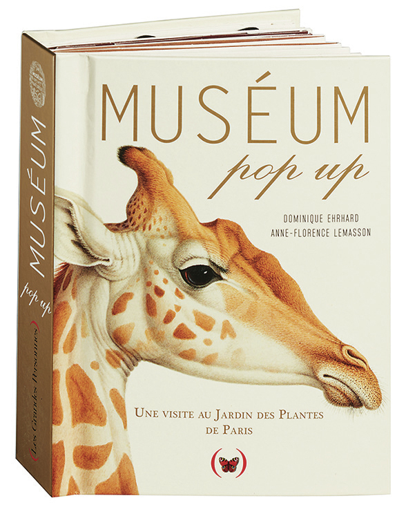 Muséum pop up - Dominique Ehrhard, Anne-Florence Lemasson - GRANDES PERSONN