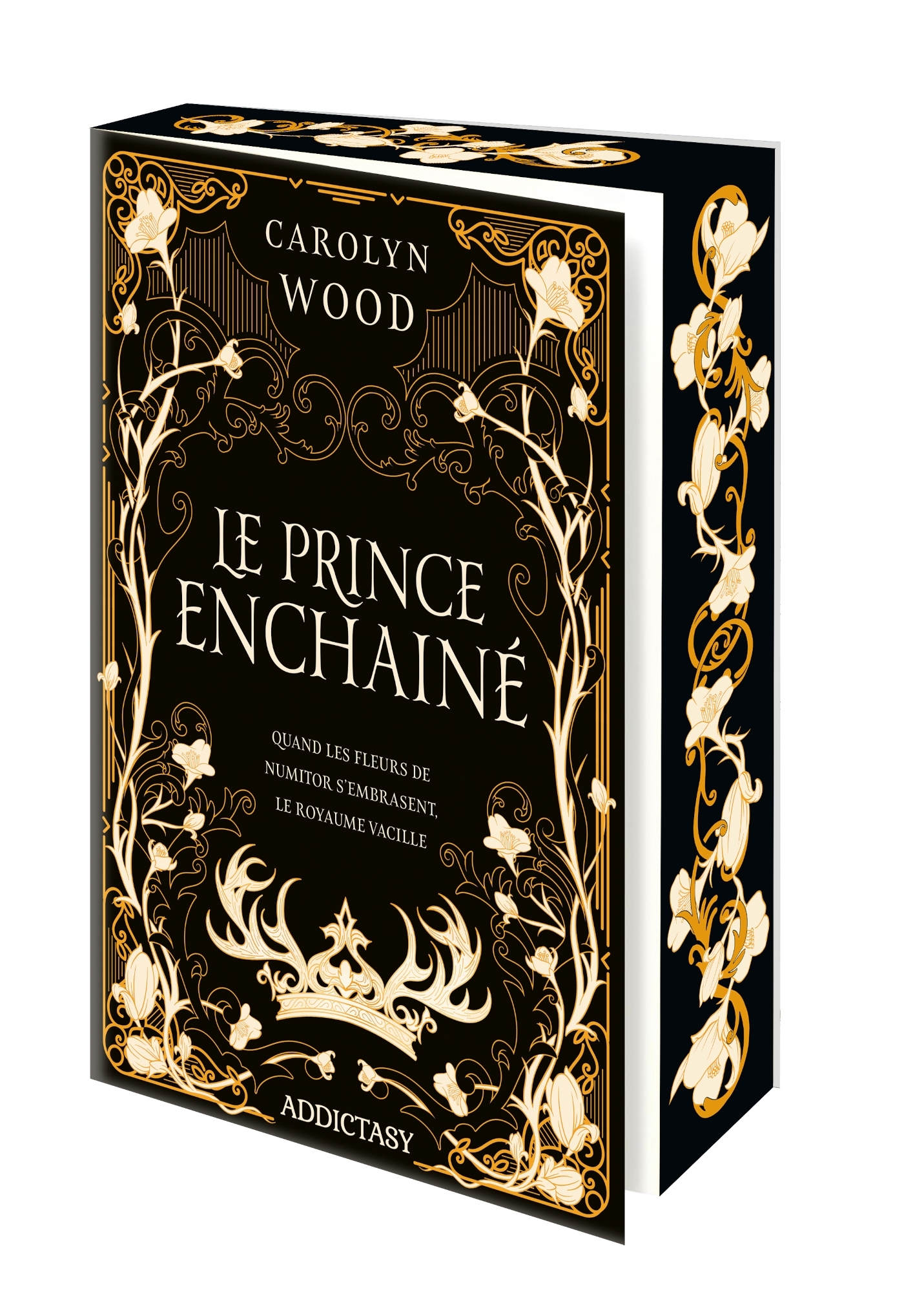 Le Prince enchaîné - Carolyn Wood - ADDICTASY