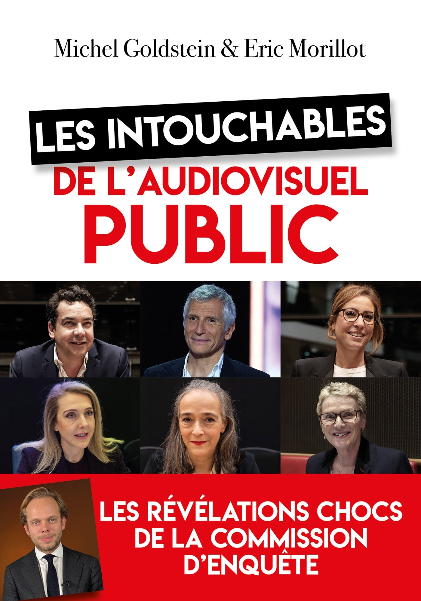 Les intouchables de l'audiovisuel public - Michel Goldstein, Eric Morillot - ARTILLEUR