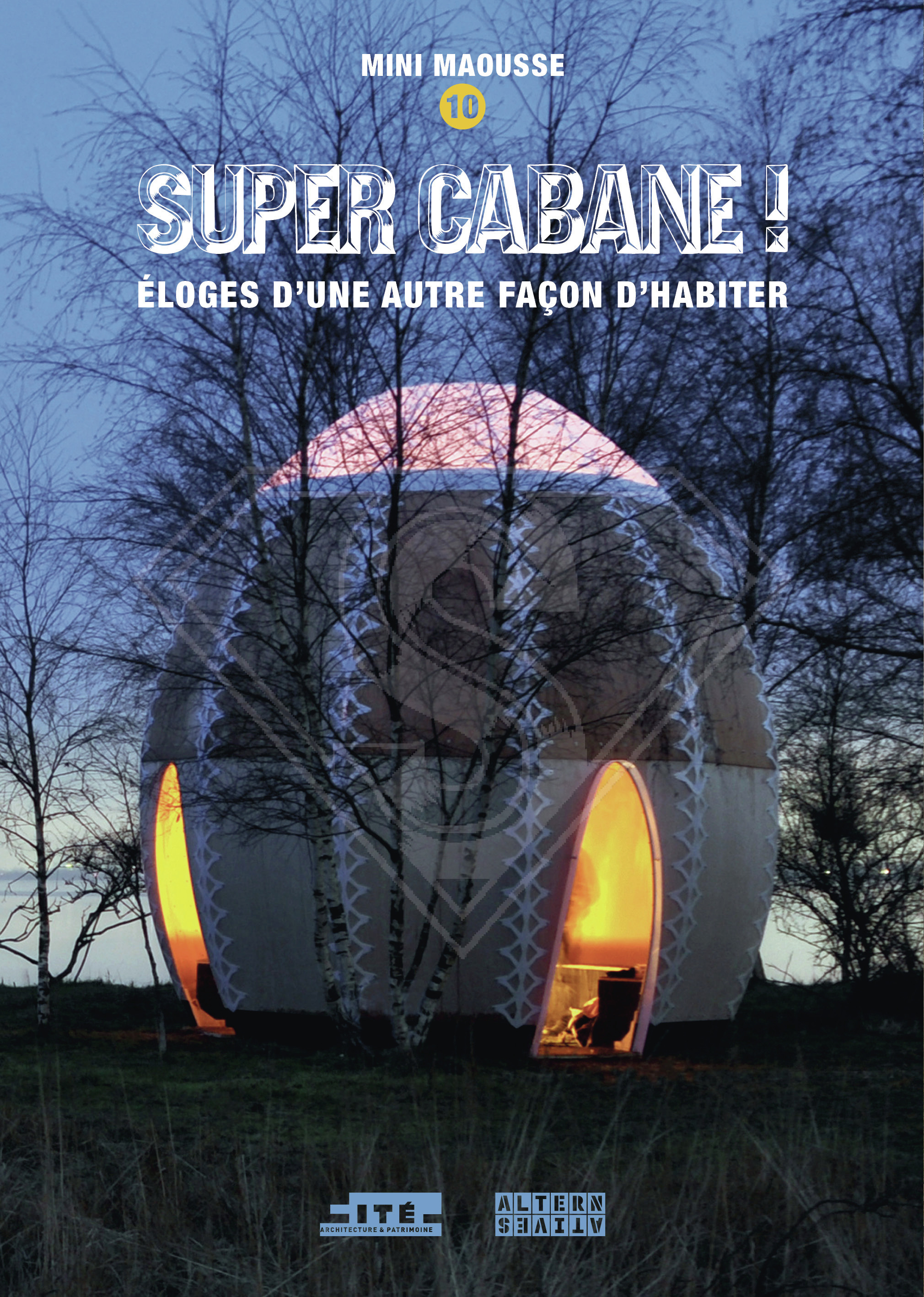 Super cabane ! -  Collectifs - ALTERNATIVES
