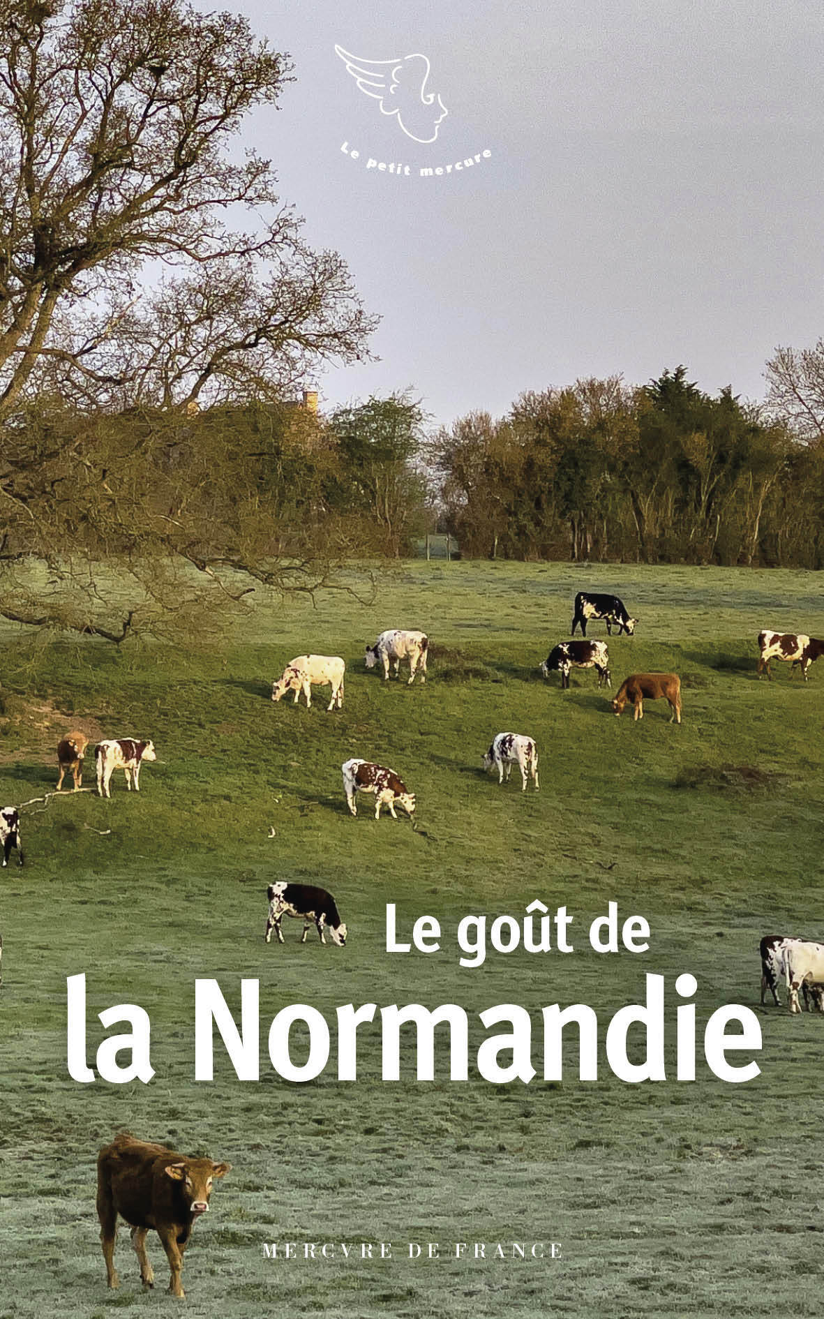 Le goût de la Normandie -  Collectifs - MERCURE DE FRAN