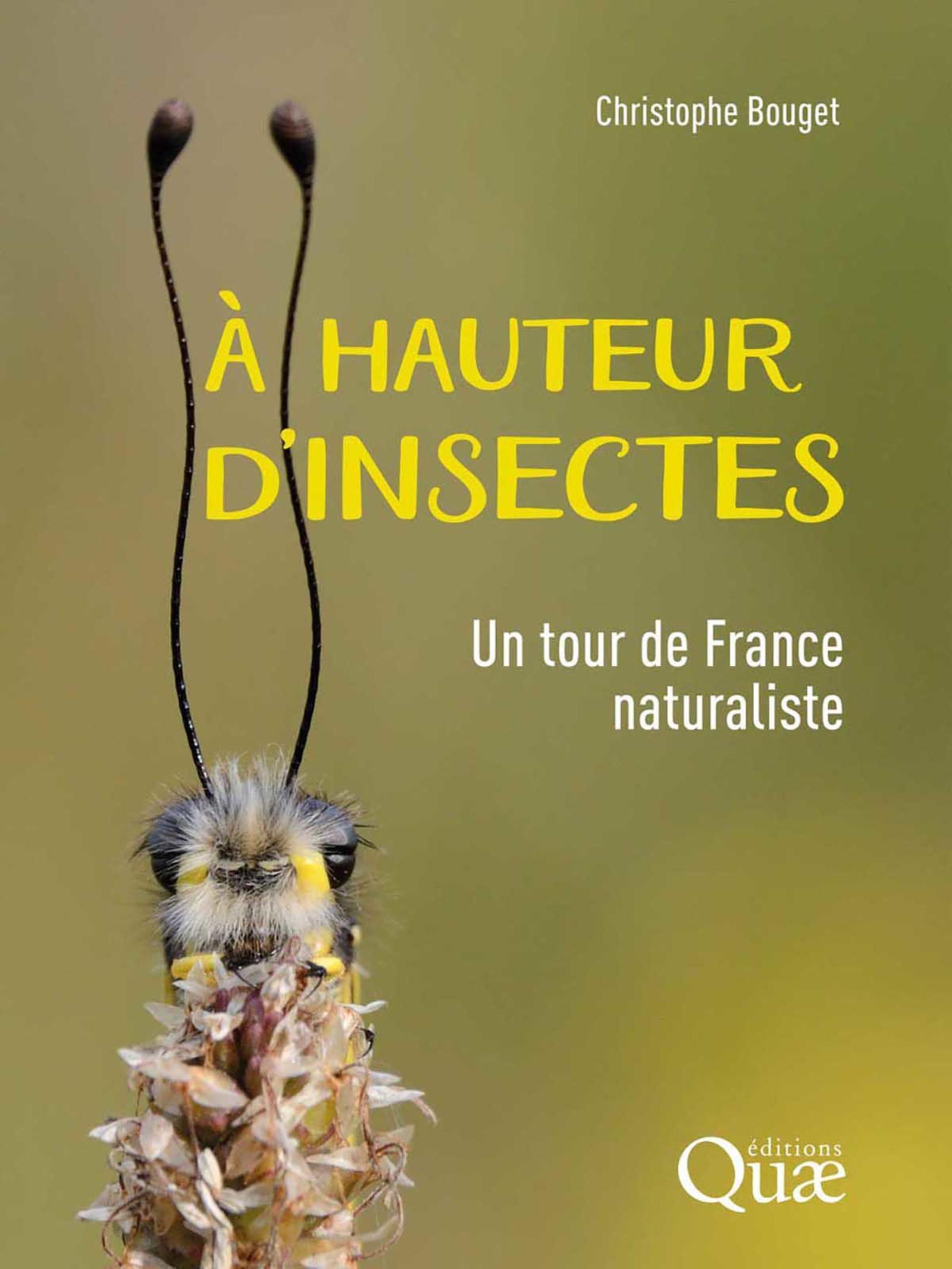 À hauteur d'insectes - Christophe Bouget - QUAE