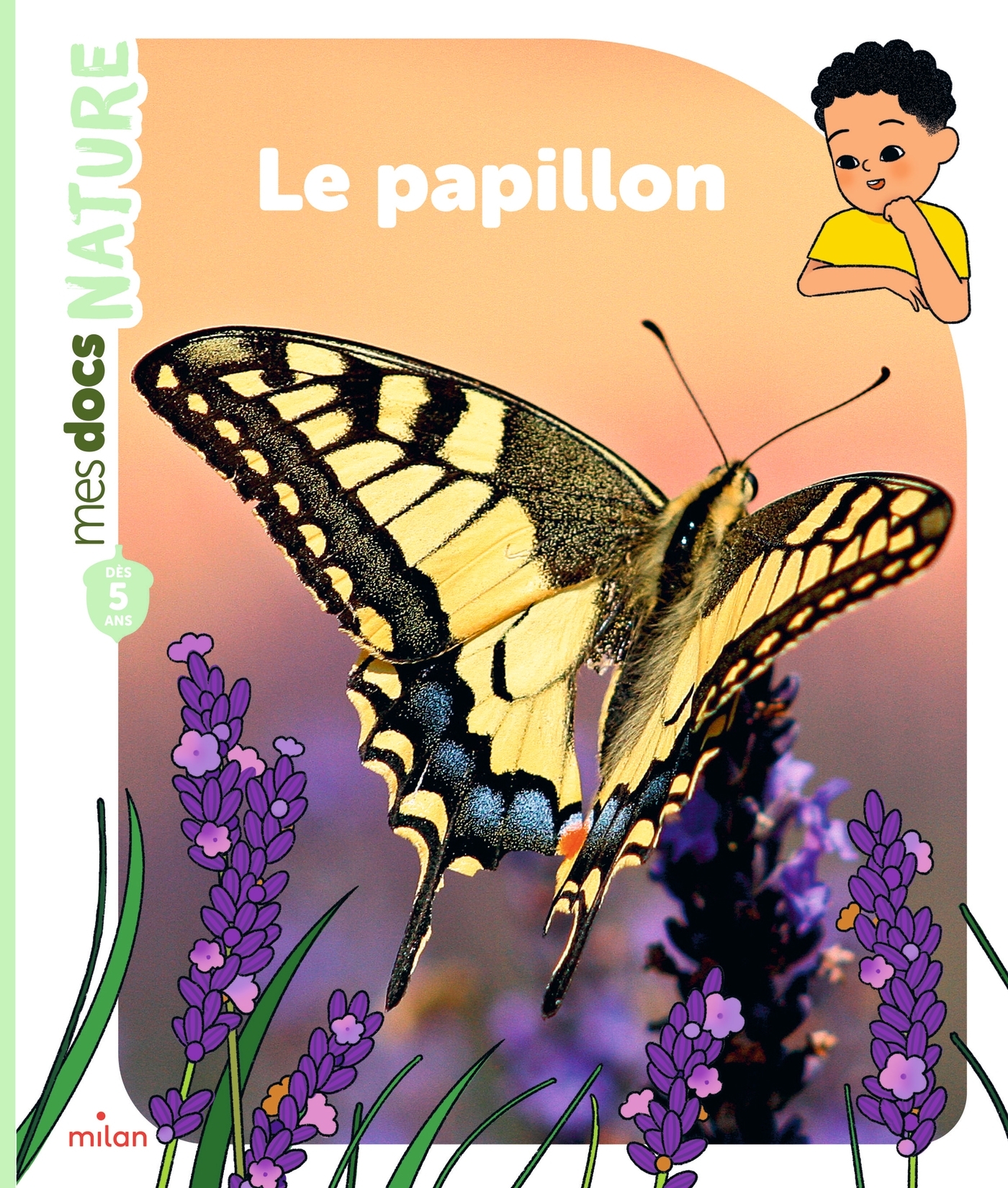 Le papillon - Stéphanie Ledu - MILAN