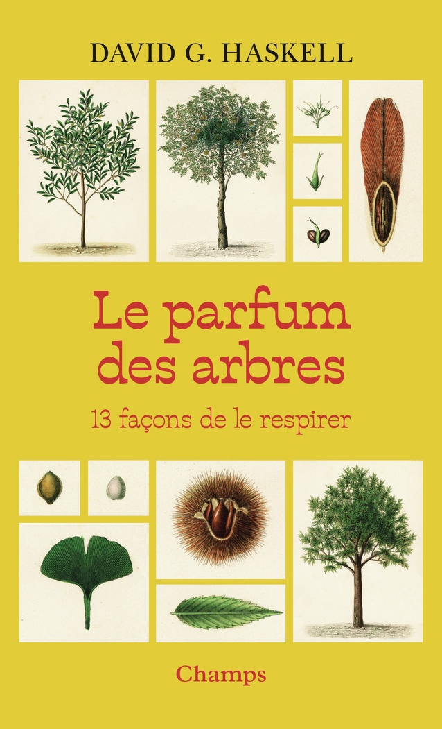 Le parfum des arbres - David G. Haskell - FLAMMARION