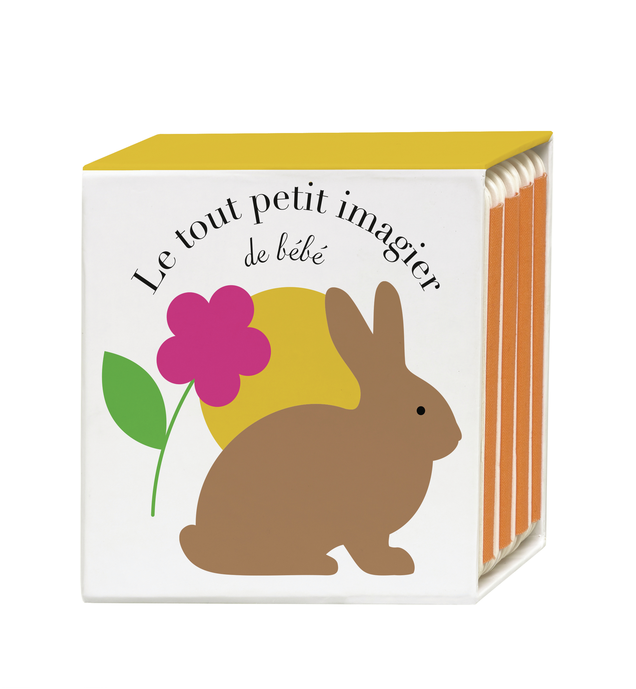 Le Tout Petit Imagier de Bébé - Emma Giuliani - GRANDES PERSONN