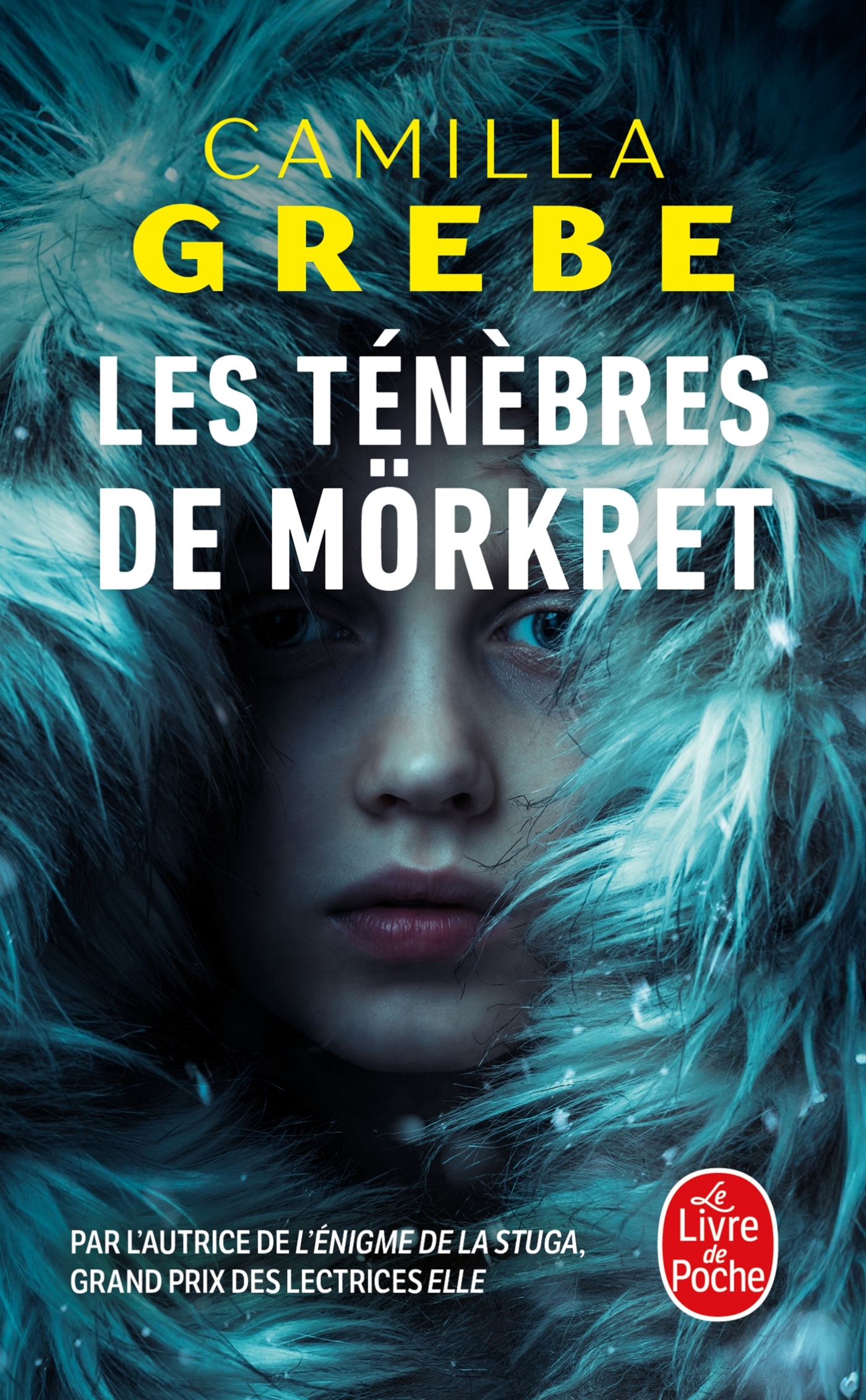 Les Ténèbres de Mörkret - Camilla Grebe - LGF