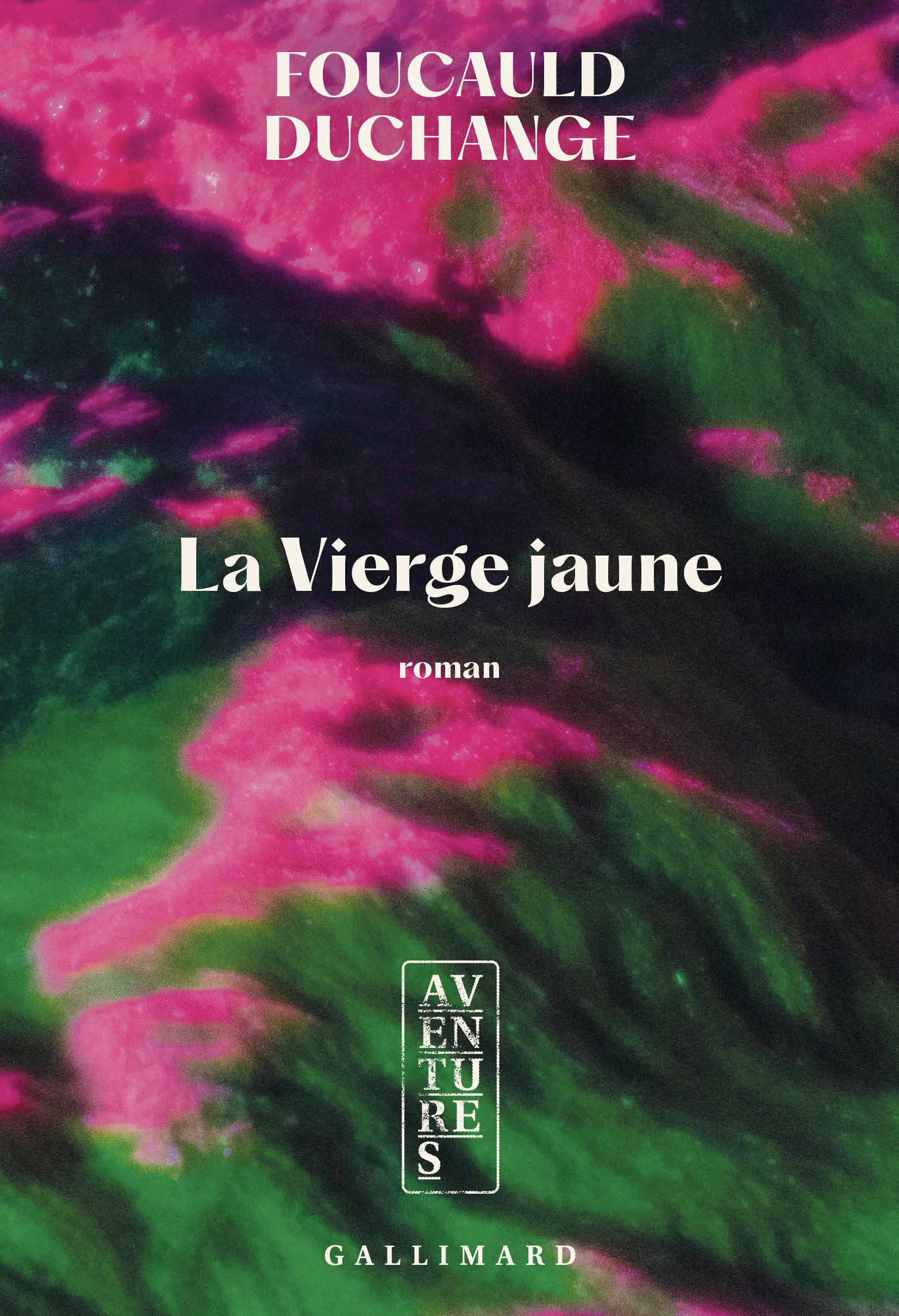 La Vierge jaune - Foucauld Duchange - GALLIMARD