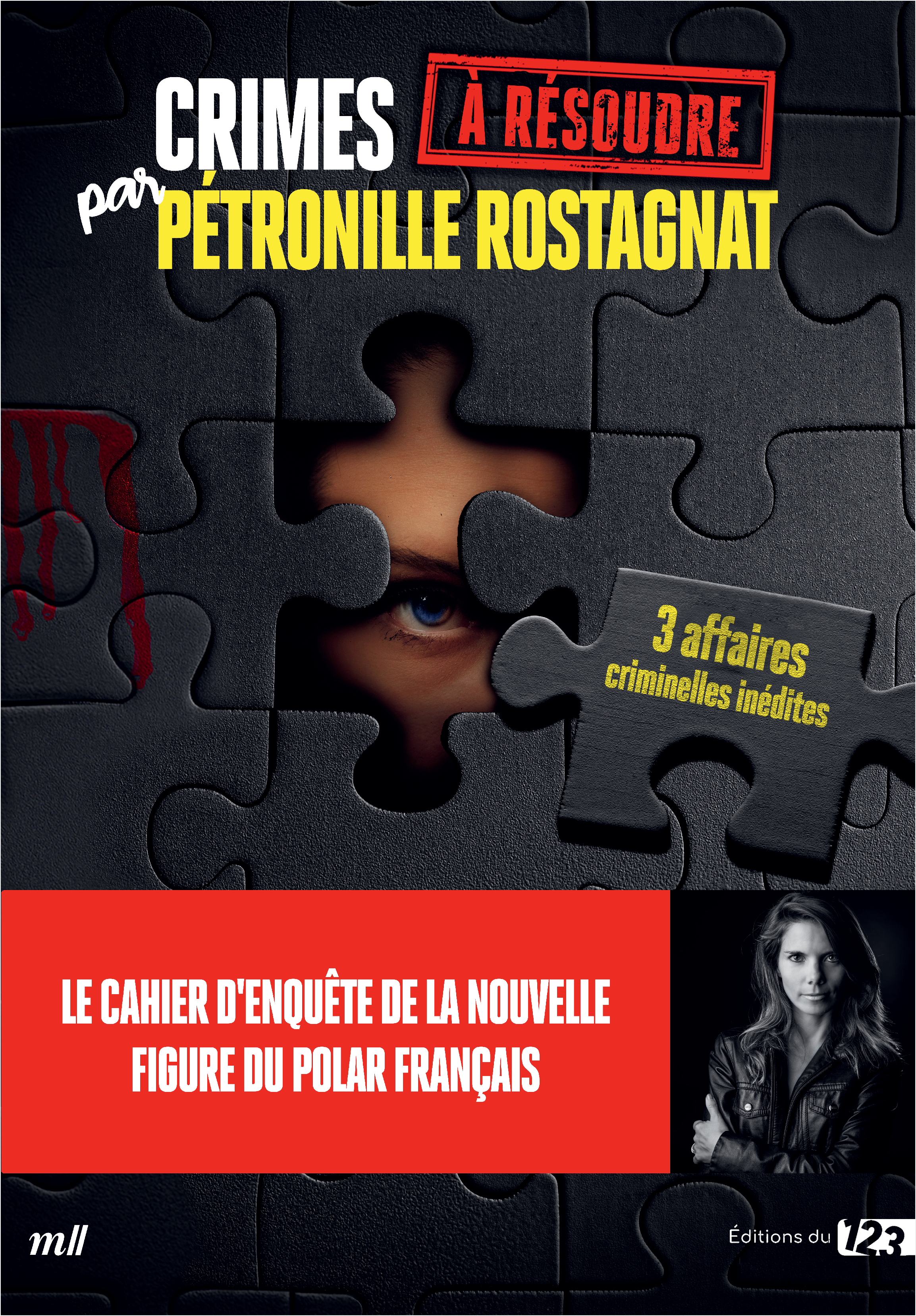 Crimes à résoudre par Pétronille Rostagnat - Pétronille Rostagnat - MERCILESLIVRES