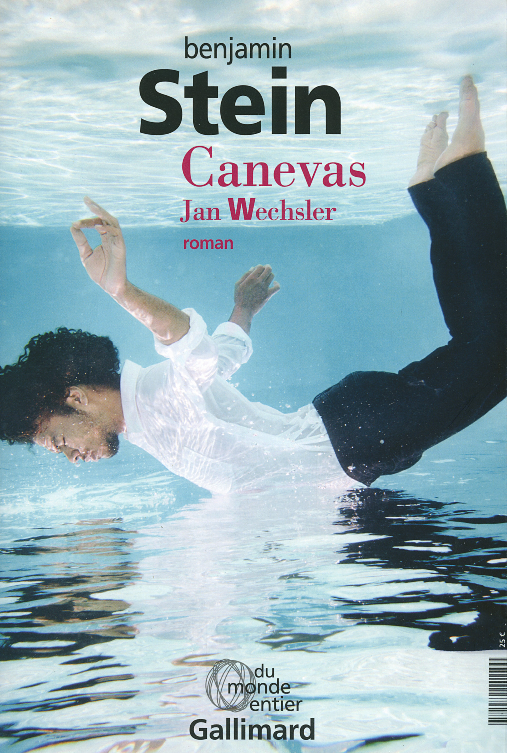 Canevas - Benjamin Stein - GALLIMARD