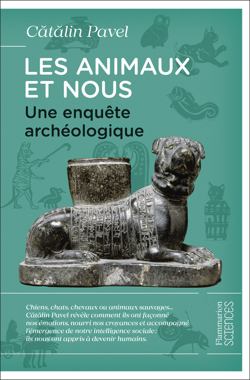 Les animaux et nous - Catalin Pavel - FLAMMARION
