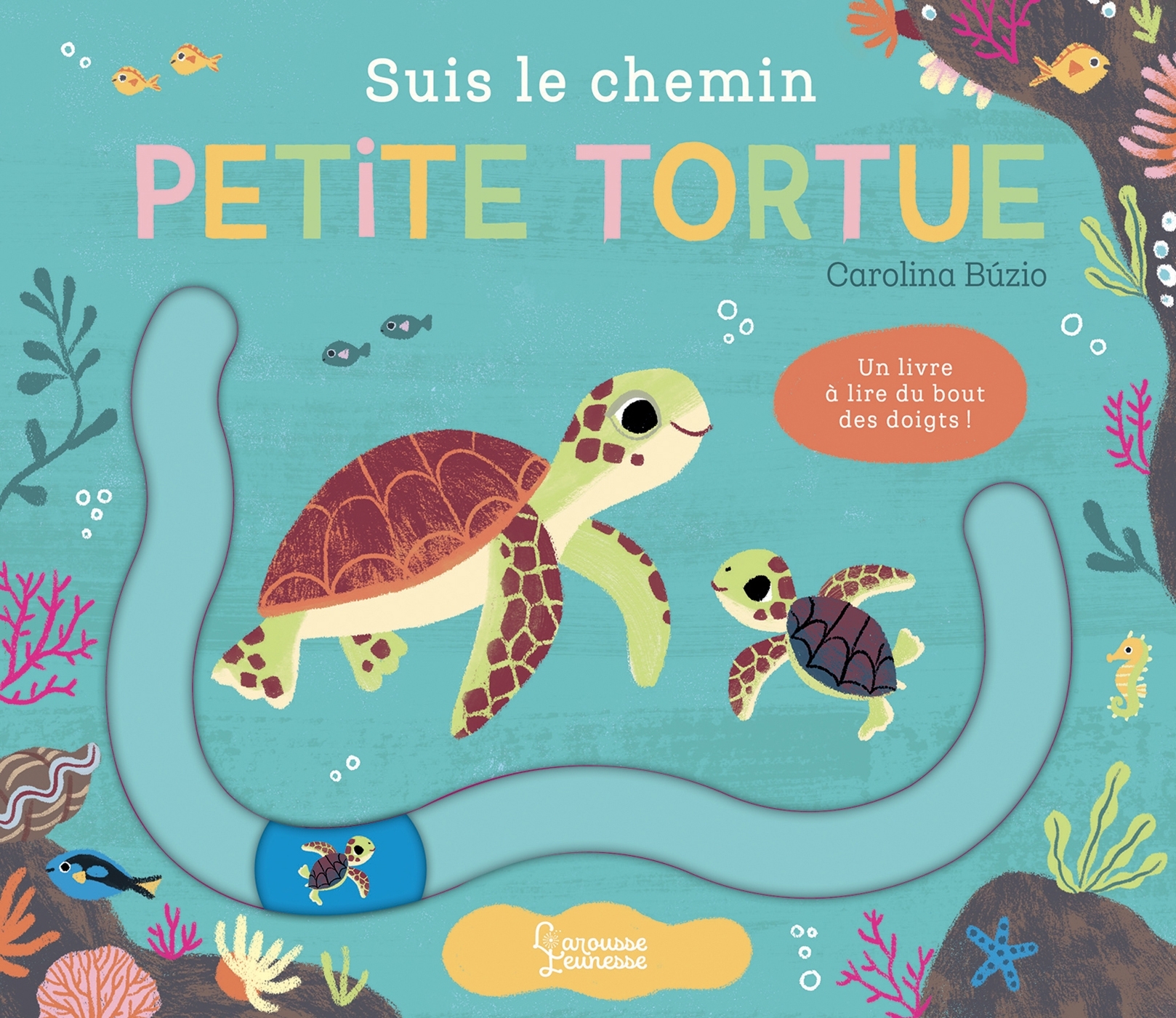 Suis le chemin petite tortue - Carolina Buzio - LAROUSSE