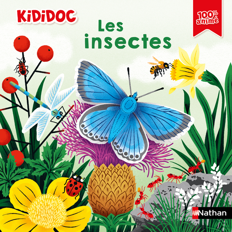 Les insectes - Muriel Zürcher, Stéphane Hurtrez - NATHAN