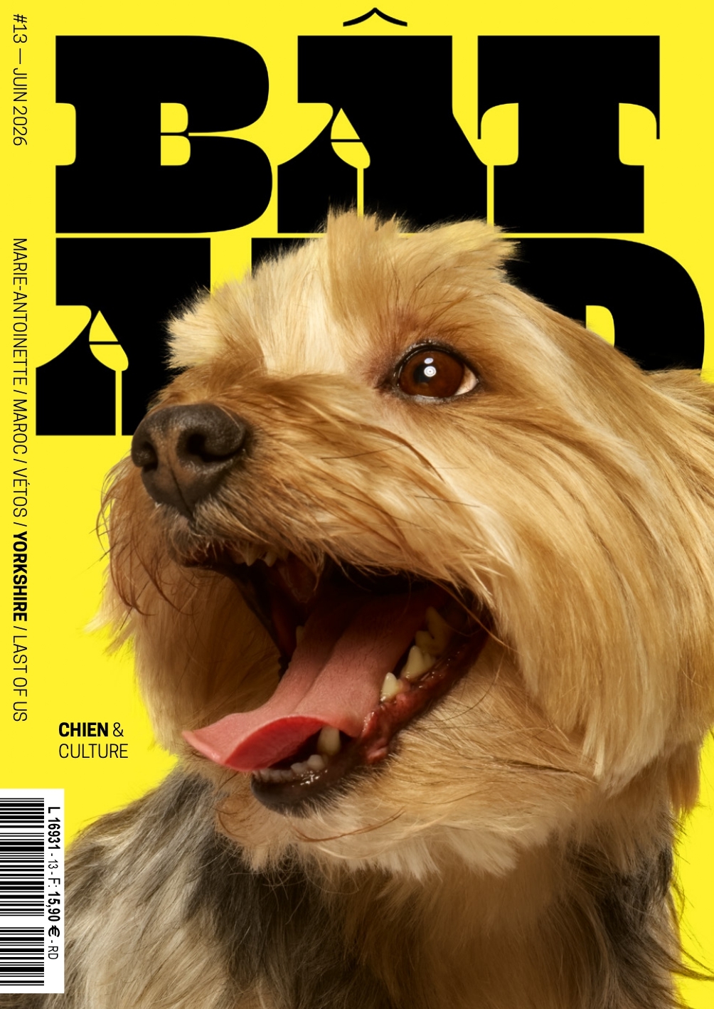 Bâtard N°13 - Juin 2026 -  Collectif - DOG SOCIAL CLUB