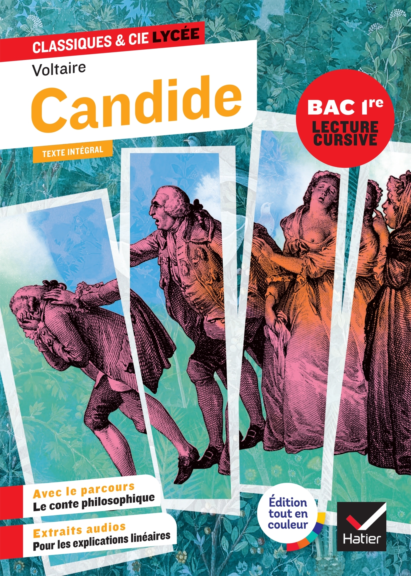 Candide -  Voltaire, Bertrand Darbeau, Chloé Brendlé, Johan Faerber - HATIER