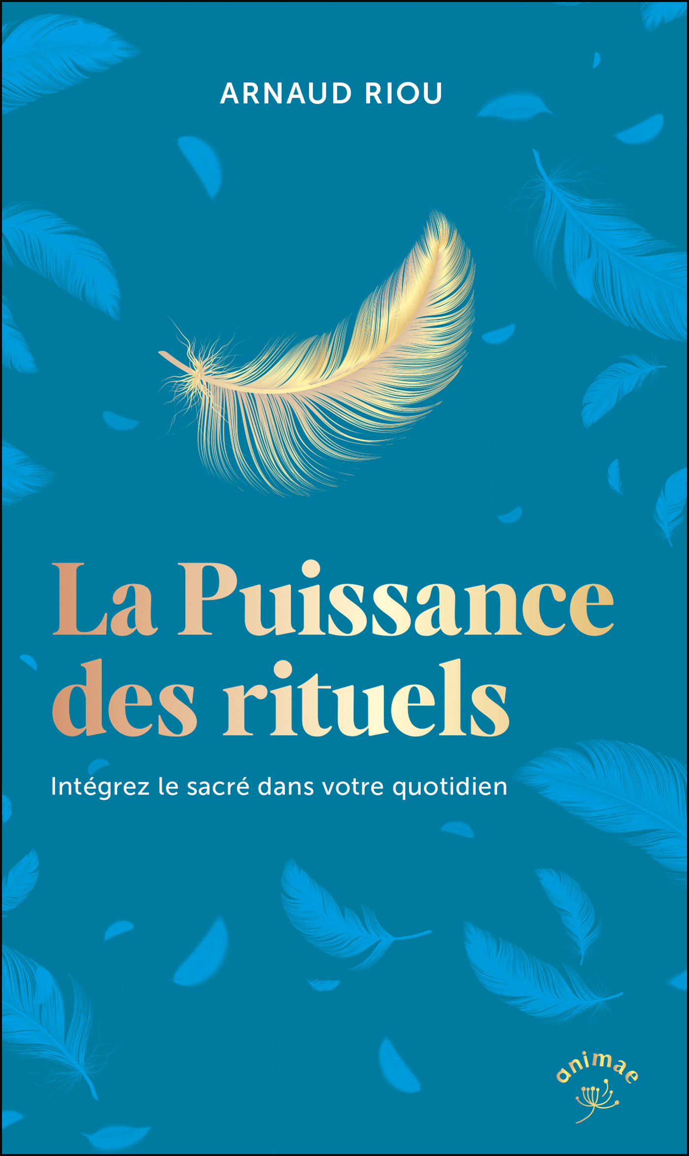 La puissance des rituels - Arnaud Riou - ANIMAE