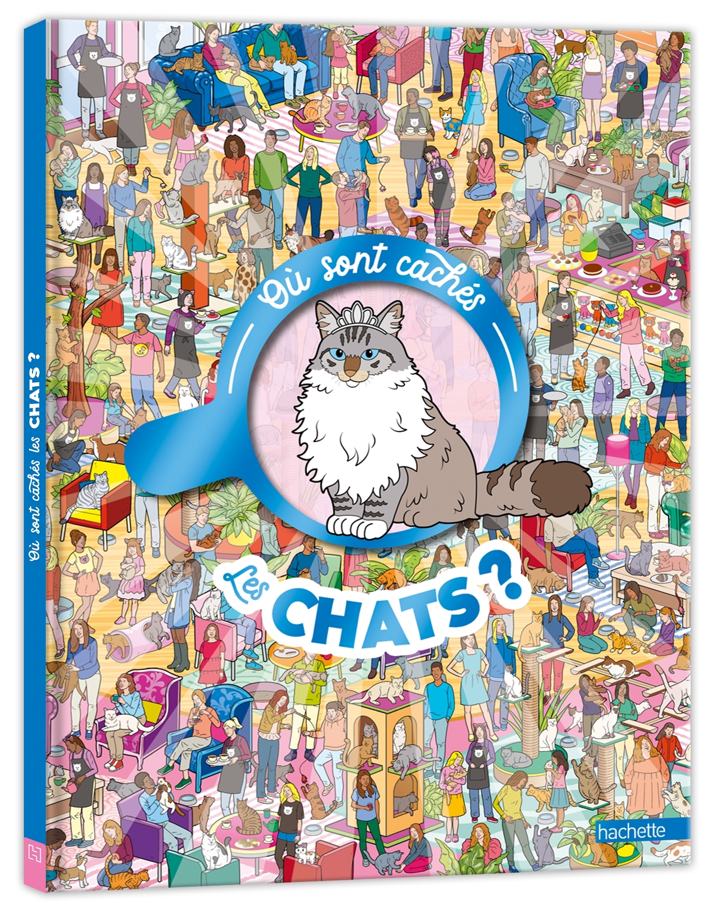 Où sont cachés les chats ? - Emmanuelle Caussé - HACHETTE ENFANT