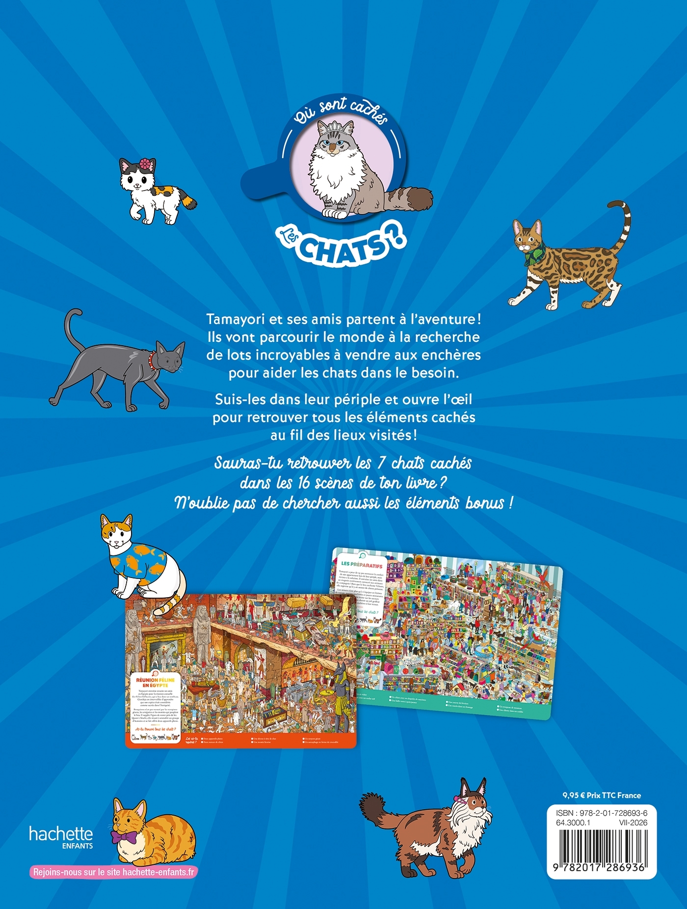 Où sont cachés les chats ? - Emmanuelle Caussé - HACHETTE ENFANT
