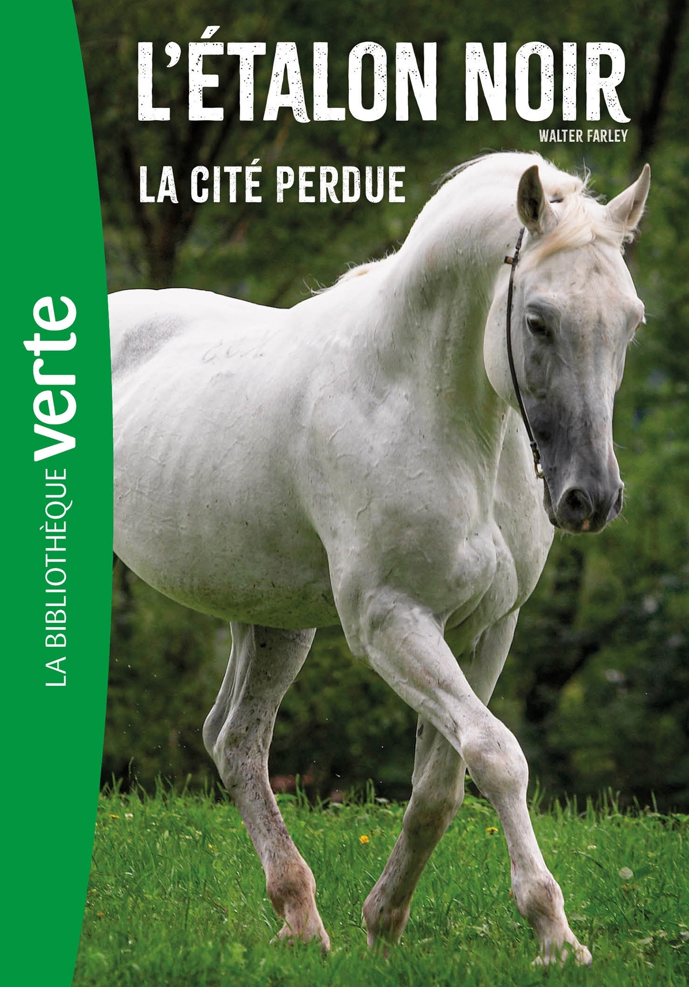 L'Etalon noir (nouvelle édition),  Tome 20 -  La cité perdue - Steven Farley - HACHETTE JEUN.