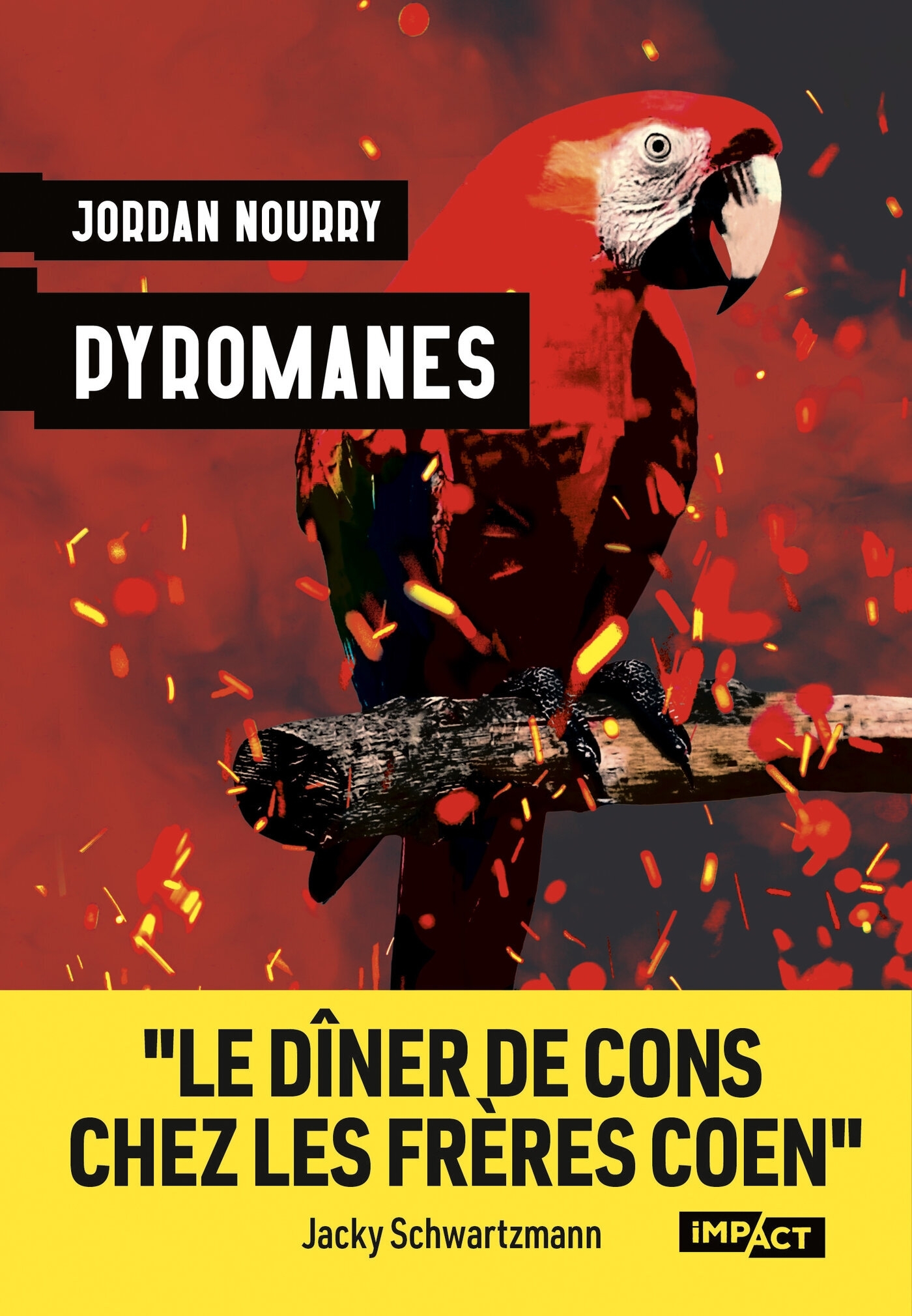 Pyromanes - Jordan Nourry - HUGO ROMAN