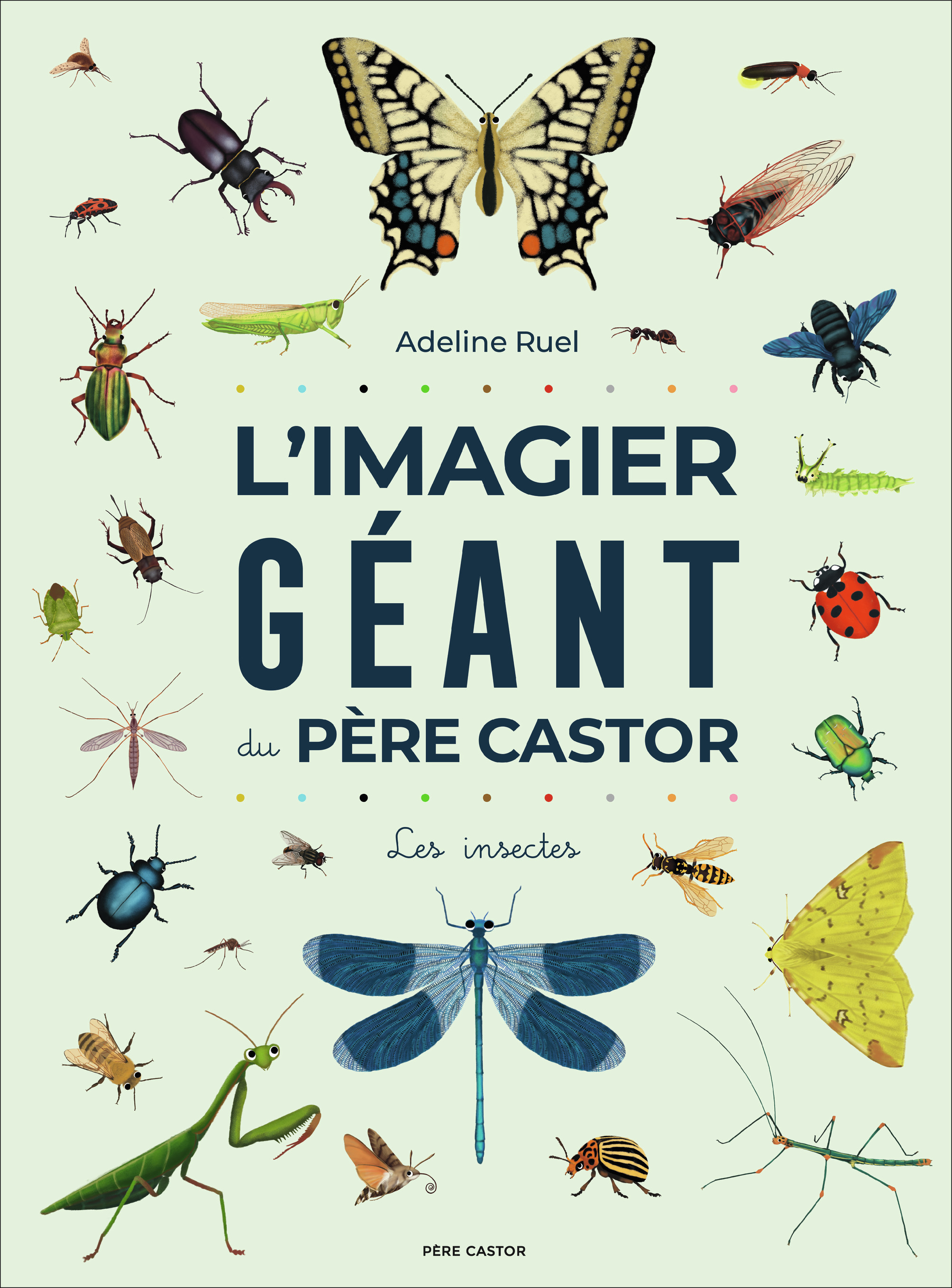 L'Imagier géant du Père Castor - Les insectes - Adeline Ruel - FLAM JEUNESSE