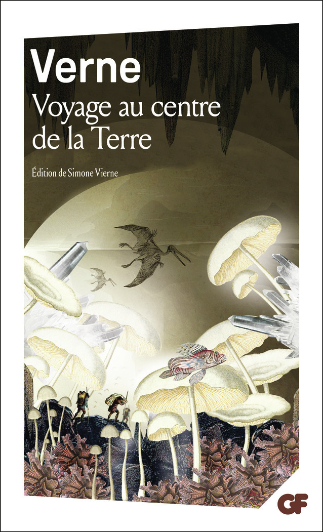 Voyage au centre de la Terre - Jules Verne, Simone Vierne - FLAMMARION