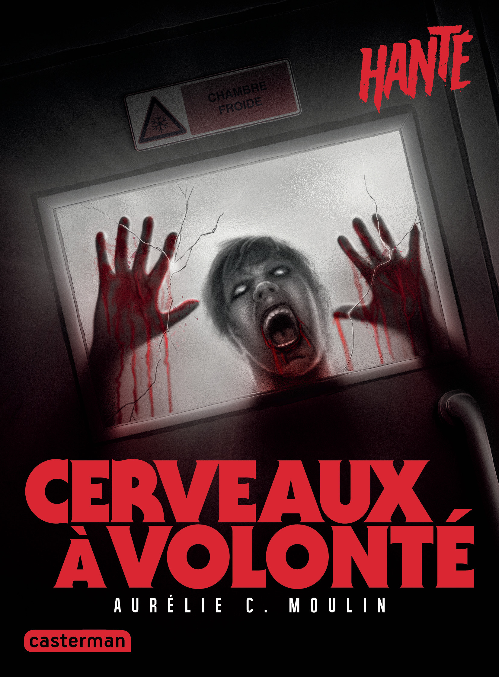 Hanté - Cerveaux à volonté -  AURELIE C.MOULIN, Aurélie C. Moulin - CASTERMAN