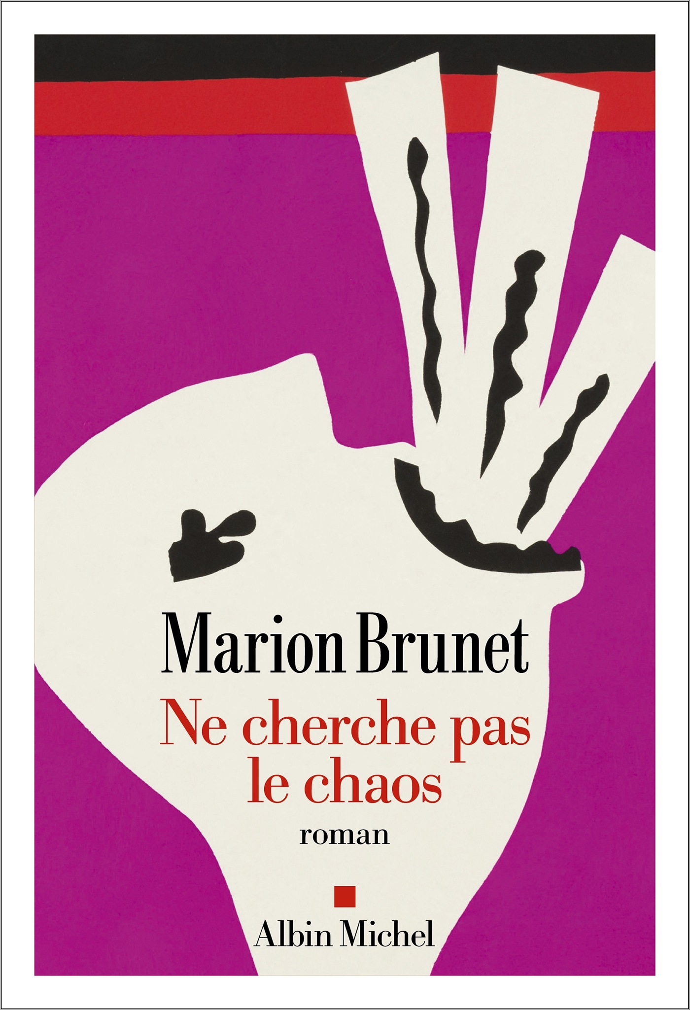 Ne cherche pas le chaos - Marie BRUNET, Marion Brunet - ALBIN MICHEL