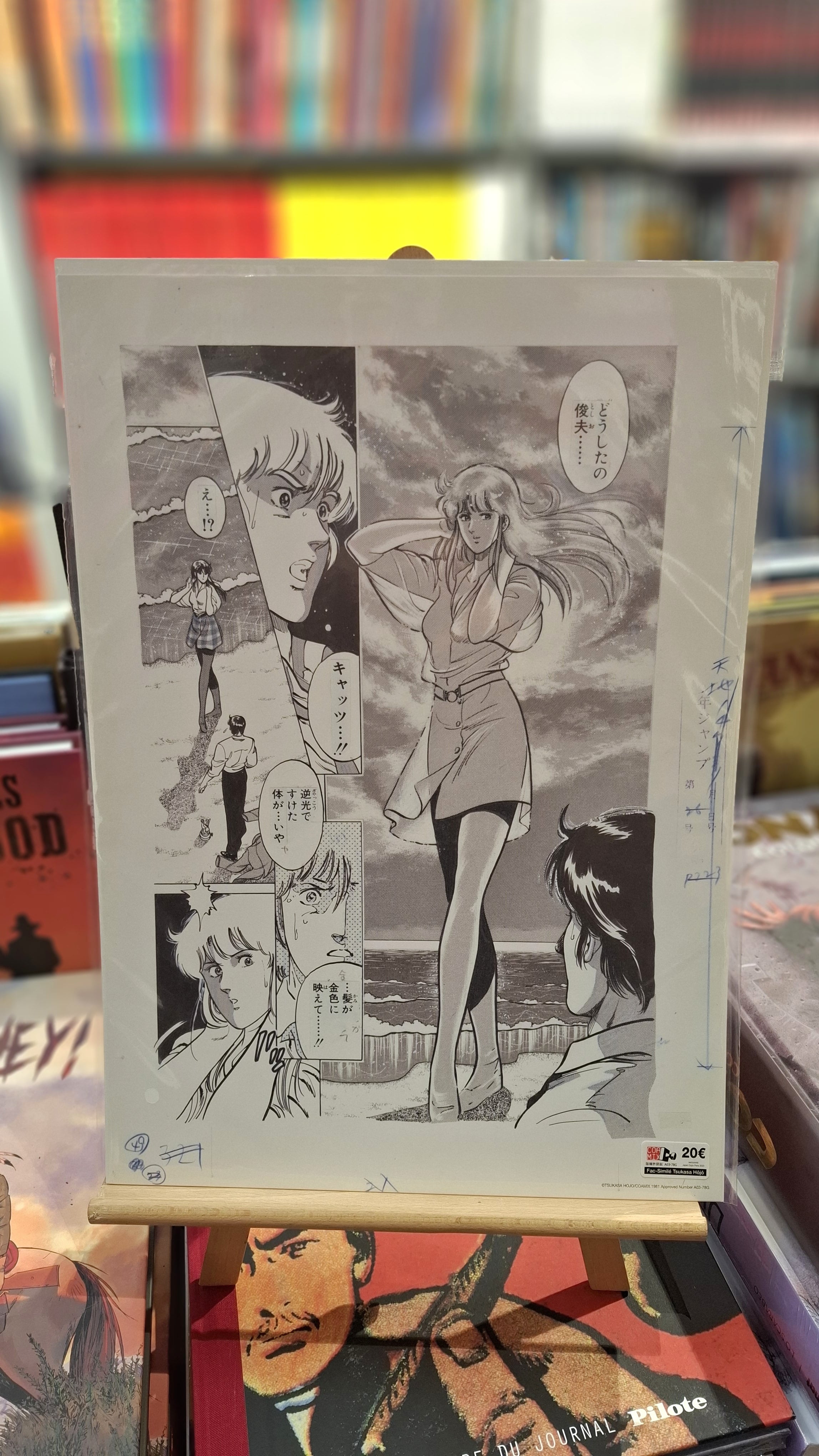 SERIGRAPHIE TSUKASA HOJO - 13