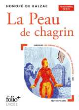 La peau de chagrin - bac 2025