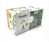 Coffret avocadabra