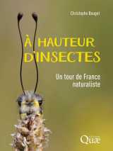 à hauteur d'insectes