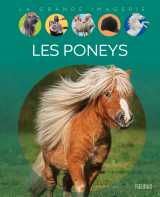 Les poneys