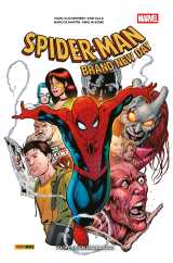 Spider-man - brand new day t02 : profession paparazzi